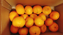 玖原农珍 赣南脐橙当季采摘优选橙子年货礼盒水果 15枚水果礼盒优选果（220-300g） 实拍图