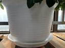 九千谷树脂花盆仿陶瓷矮款白色2个装 创意加厚花盆口径20.7cm含托3996 实拍图