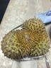 梦宛怡榴莲金枕新鲜果整箱一整个带壳泰国进口巴掌金枕头榴莲时令水果 净重3-4斤精选老树果（出肉率更高） 泰国进口金枕榴莲 实拍图