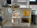 蔻丝猫笼子带厕所一体家用透明猫柜双层猫别墅猫屋养猫全套用品 实拍图