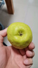 京鲜生 新疆特级库尔勒香梨 净重5斤单果120g以上 生鲜水果 实拍图