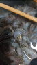 海宴农 野生小河虾500g 当季新虾 活虾速冻 年货礼盒 新年年货 源头直发 实拍图