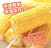 东北农嫂糯玉米段多色可选软糯香吉林原产粘玉米真空低脂饱腹粗粮代餐 【免切免洗】黄糯玉米段2kg约15段 实拍图