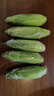 佳农宝菜山东新鲜水果玉米带绿皮单根200g+净重4.6斤4-7根源头直发 实拍图