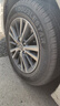 双星汽车轮胎 195/65R15 91H X11 适配新卡罗拉/新朗逸/宝来 实拍图