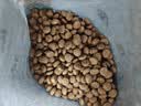 宝诺滋无谷鲜肉全价猫粮成幼猫全品种全期主粮通用试吃猫干粮 三文鱼鲜鸡肉【45%粗蛋白】1斤试吃装 实拍图
