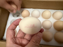 1号会员店可生食鸡蛋30枚净重3.6斤精选大码蛋礼盒装 源头直发 实拍图