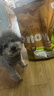 NOW FRESH【进口小型犬狗粮】全价四叶草狗粮柯基柴犬博美泰迪雪纳瑞犬粮 【2包装】火鸡鱼鸭味12磅 5.44kg 实拍图