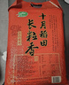 十月稻田 2025年新米 长粒香大米 10斤（东北大米 香米 5公斤/十斤） 实拍图