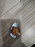 良品铺子什锦鹌鹑蛋450g卤蛋小包装64颗铁蛋即食盐焗卤味素食网红休闲零食 实拍图