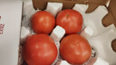 正宗攀枝花沙瓤西红柿露天生吃粉果番茄新鲜采摘非普罗旺斯西红柿 净重【商超品质150克+】 5斤 彩箱托盘 实拍图