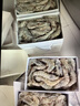 鲜京采 渤海湾有机盐田海白虾 净重3斤  单冻 75-90只/盒 年货送礼 实拍图
