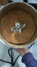 房太太 【304不锈钢】三七打粉机中药材粉碎机家用五谷杂粮磨粉机商用药店超细研磨机多功能破壁机料理机 【旋盖防漏粉】800克（304不锈钢）钢刀加硬款 实拍图