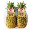 佳农 菲律宾进口菠萝 2个装 凤梨 单果净重2斤 生鲜水果源头直发 包邮 实拍图