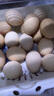 京鲜生可生食标准鲜鸡蛋30枚礼盒装3斤 源头直发 实拍图