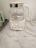 苏泊尔（SUPOR）养生壶 烧水壶1L迷你养生杯 全玻璃 煮茶器 恒温壶 家用煮茶热水壶保温全玻璃0胶水 SW-10Y05Q 实拍图