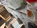 门把手儿童安全锁小孩防开门卡扣锁门神器锁猫宠物防盗门内反锁器 门把手安全锁-象牙白-2个装 实拍图
