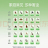 皎洁呋虫胺杀虫剂喷雾蟑螂药蚂蚁跳蚤家用驱虫室内杀爬虫衣鱼虫500ml 实拍图