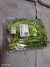 【24小时菜】富硒茼蒿200g 实拍图