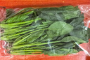 大菠菜300g 实拍图