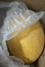 京鲜生 黄金哈密瓜 2粒 单果2.5斤起 净重6-8斤 生鲜水果年货礼盒 实拍图