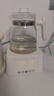 小壮熊 全玻璃恒温壶 恒温调奶器冲奶水壶 保热冲泡暖奶暖烧水壶 白1.5L 实拍图