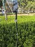 得科（DK）领夹麦无线直播设备全套无线耳机声卡套装耳麦声卡一体K歌混响蓝牙伴奏电脑手机通用 M6S卡其白 【单人款】苹果安卓手机全能版 实拍图