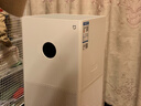 米家小米空气净化器4lite 除甲醛除菌除异味 空气伴侣 除PM2.5 AC-M17-SC 实拍图