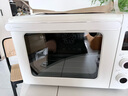 长帝（changdi）国家补贴家用烤箱猫小易pro电烤箱风炉平炉空气炸42升大容量多功能烘焙炸烤一体机烧烤新年货礼物 实拍图