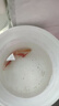 金鱼饲料观赏鱼锦鲤鱼食增色鱼粮小颗粒不浑水热带鱼食饵料粮 小颗粒适合10厘米下的鱼 20克 实拍图