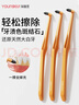 手动磨牙器去牙黄牙渍烟斑结石搓平打磨抛光洁牙工具清洁刷 3支装 实拍图
