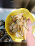 新鲜蛏子肉商用蛏子大竹节蛏王肉海鲜冰冻鲜活冷冻蛏子批发 新鲜现剥竹节蛏 纯肉 500g(净重)  一大包 实拍图