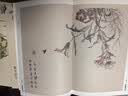 赠帆布袋 官方正版【彩版康熙初刻板】芥子园画传 正版（全三册） 芥子园画谱彩色版 山水林木兰竹梅菊虫草翎毛花卉 国画入门基础技法历史名家画集图书 工艺美术 芥子园画传+中国画白描3本 晒单实拍图