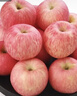 京鲜生 烟台红富士苹果 净重10斤  单果160g以上 水果礼盒 实拍图