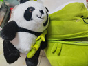 Murcia竹筒熊猫玩偶公仔毛绒玩具仿真小熊花花儿童男女生日礼物送孩子 实拍图