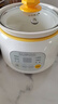 苏泊尔（SUPOR）电炖锅 电炖盅 煲汤锅炖汤锅 燕窝炖盅 熬粥煮粥神器 婴儿辅食锅 电煮锅 电汤锅DG10YC823多功能锅 实拍图
