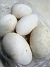 绿田逐 鹅蛋新鲜散养土鹅蛋生鲜12枚 2.7斤礼盒装 源头直发 实拍图