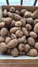 农多鲜云南小芋头新鲜现挖毛芋头香芋头应季蔬菜包邮产地直发 云南小芋头净重 9斤中果 实拍图