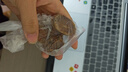 凌云鹤台球杆皮头小头杆台球皮头桌球杆皮头台球用品 10mm 宝石蓝【50粒】皮头五件套 【打感超弹 抓球力强】 实拍图