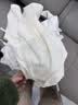 春秋款纯棉婴儿衣服A类新生儿月子服无骨连体包屁衣睡衣 花环兔 59cm （1-3个月） 实拍图