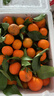 【产地直发】正宗广西金秋砂糖橘棉橘水果新鲜当地砂糖橘橘子新鲜 砂糖橘带箱5斤 实拍图