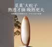 觅菓（miguo）晚松松子AA+手剥阿富汗松子巴西松子健康坚果炒货礼盒200g 实拍图