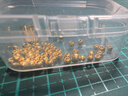 洲足金999金珠黄金小金珠金豆古法金珠DIY配件散珠隔珠路路通转运珠 3mm金珠  合单满 0.16g 包邮 多颗混发约0.06g 实拍图