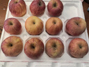 京鲜生山东烟台红富士苹果 5斤装单果75-80mm生鲜水果 源头直发 包邮 实拍图