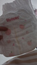 好奇（Huggies）铂金装小桃裤成长裤XXL74片(15kg以上)尿不湿【透爽散热】 实拍图