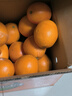 江西赣南早脐橙整箱当季新鲜早橙子榨汁水果礼盒皮薄多汁节日团购 【超值】净重9斤单个160g+ 实拍图