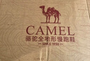 骆驼（CAMEL）网面透气跑步男鞋轻量健步运动鞋子 CSS221L0033 黑色 45 实拍图