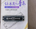 天鹅（SWAN）10孔布鲁斯口琴C调学生儿童初学者入门蓝调口琴乐器黑色 实拍图
