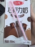 三元巧克力奶整箱250ml*24盒 生牛乳含量80% 年货送礼 实拍图