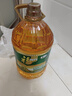 福临门食用油 非转基因压榨一级黄金产地玉米胚芽油6.18L 中粮出品 年货 实拍图